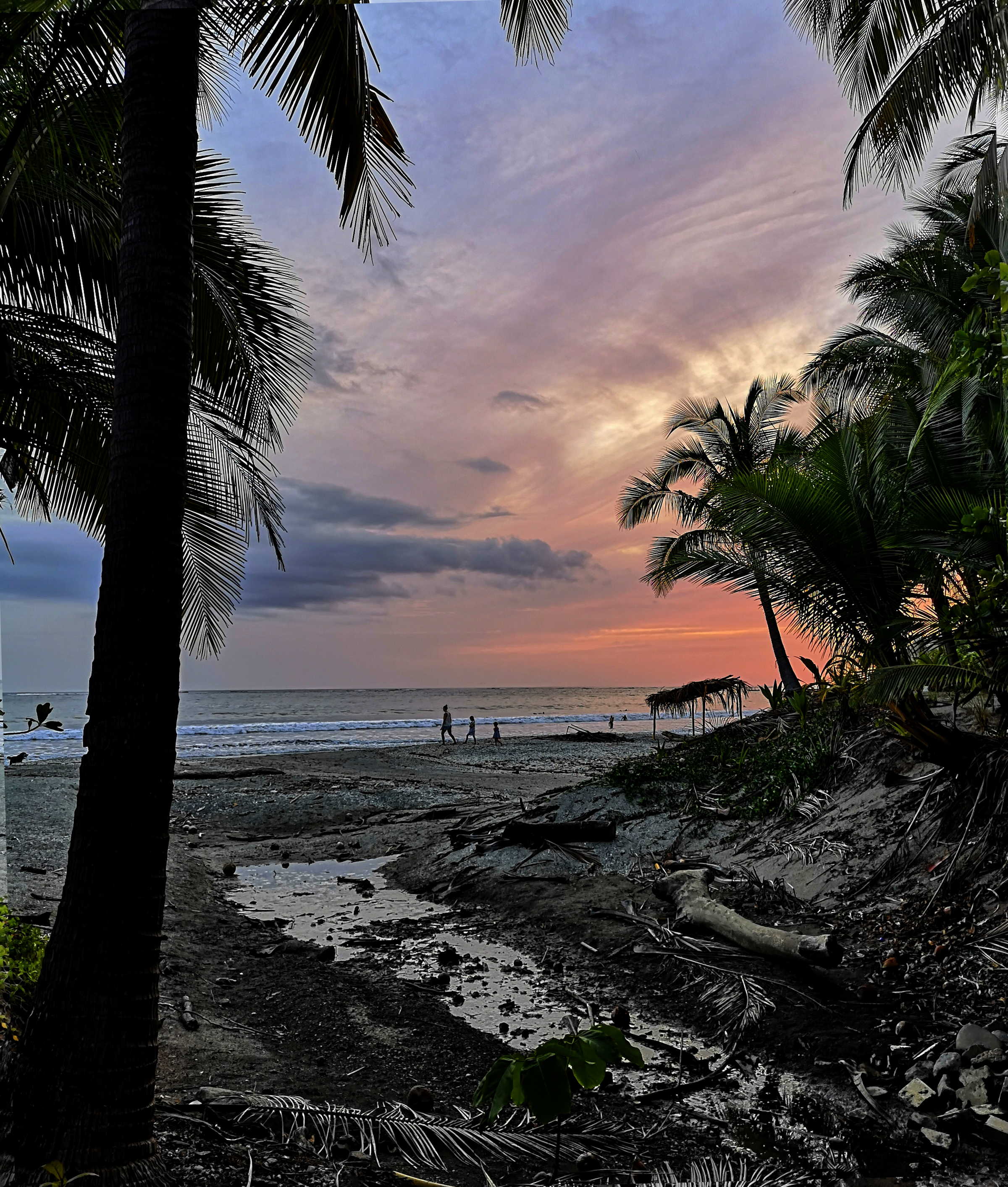 Palms over Playa Sámara at sunset, Costa Rica