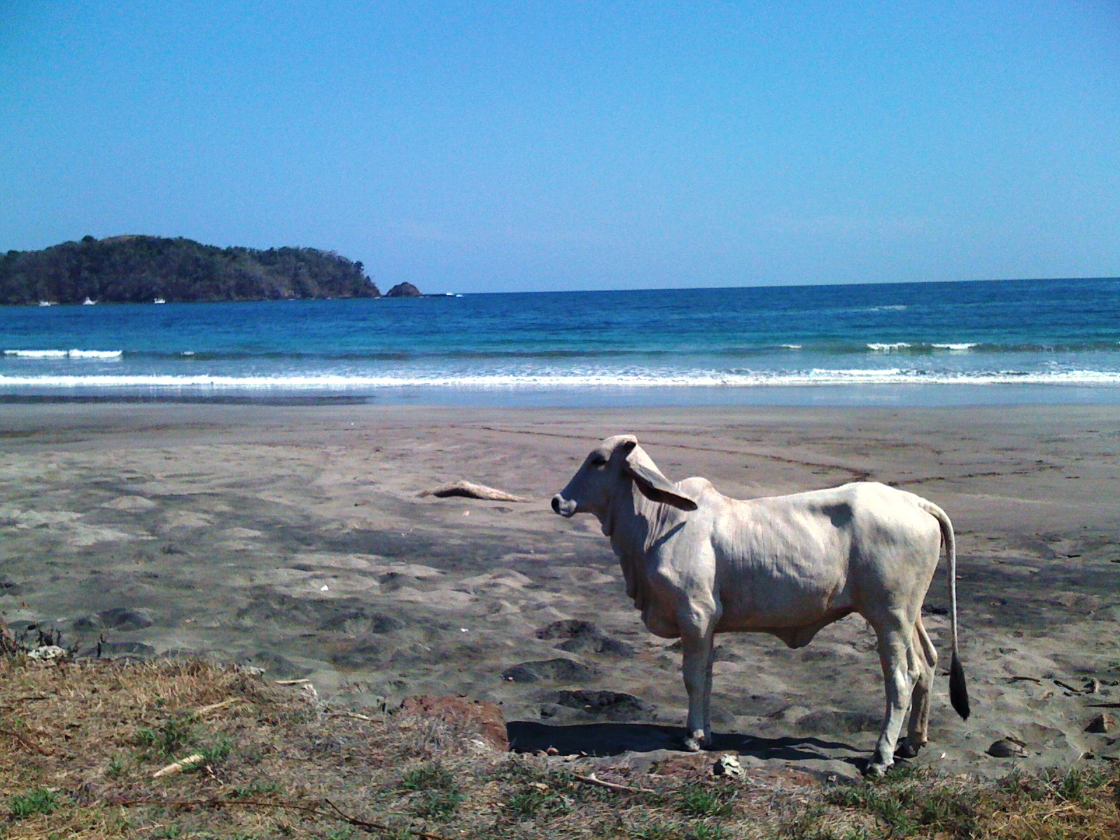 Playa Carrillo, Guanacaste, Costa Rica