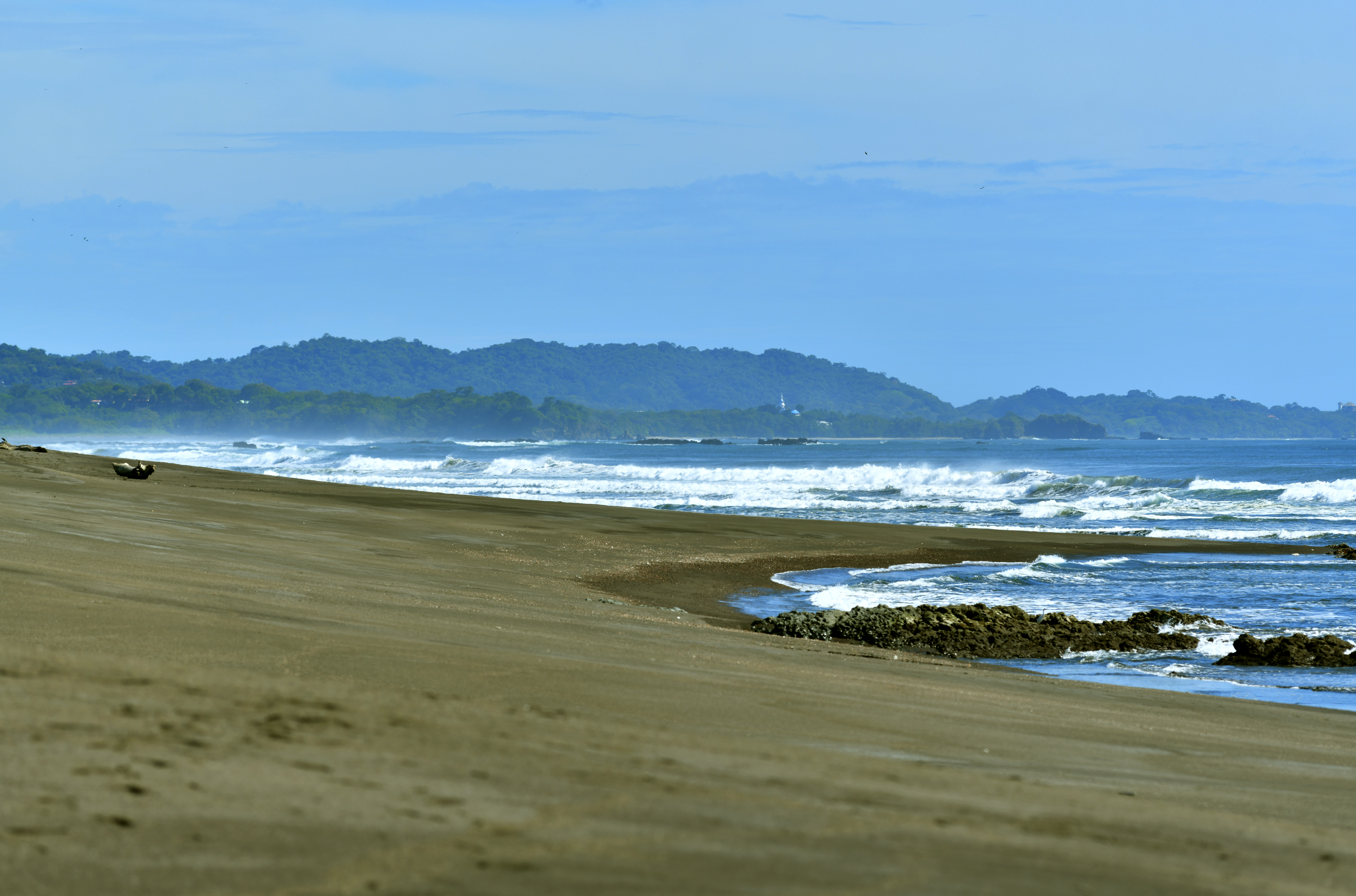 Playa Ostional, where olive ridley turtles nest, Guanacaste, Costa Rica
